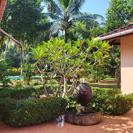 King Coconut Lodge Habaraduwa Central Kültér fotó