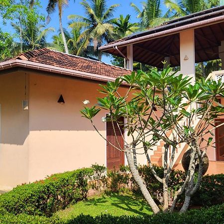 King Coconut Lodge Habaraduwa Central Kültér fotó