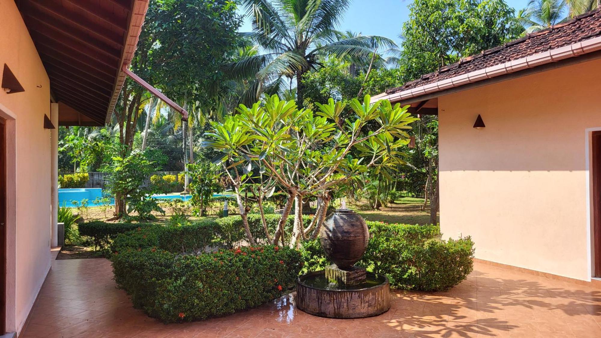 King Coconut Lodge Habaraduwa Central Kültér fotó