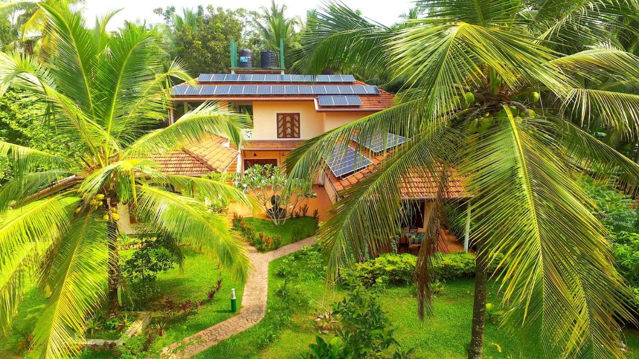 King Coconut Lodge Habaraduwa Central Kültér fotó