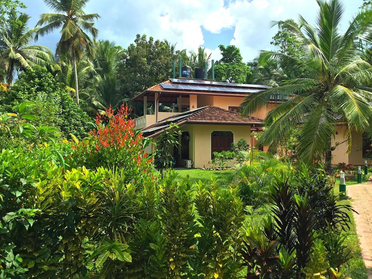 King Coconut Lodge Habaraduwa Central Kültér fotó